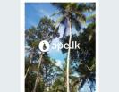 à¶‰à¶©à¶¸à·Š à·€à·’à¶šà·’à¶«à·“à¶¸à¶§ à¶¸à·’à¶±à·”à·€à¶±à·Šà¶œà·œà¶©
